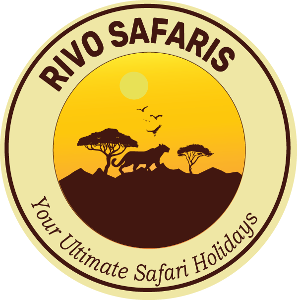 Rivo Safaris