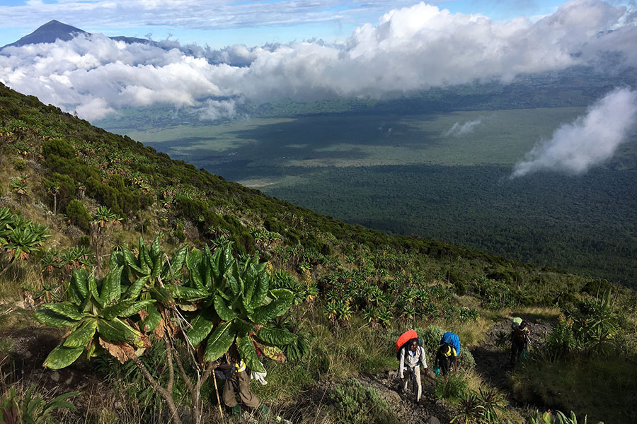 Mount Elgon national park