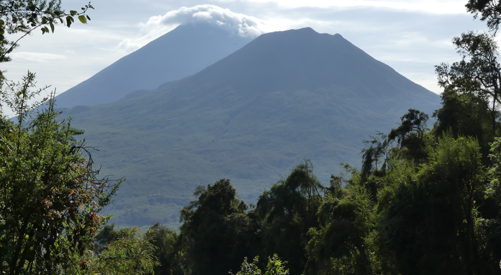 Mgahinga gorilla national park
