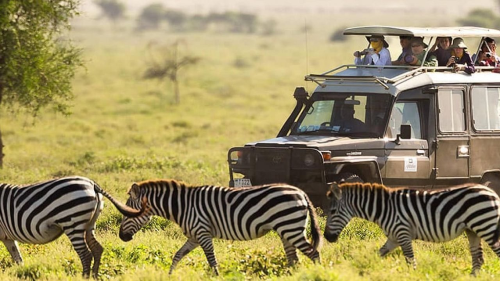 Nairobi National Park