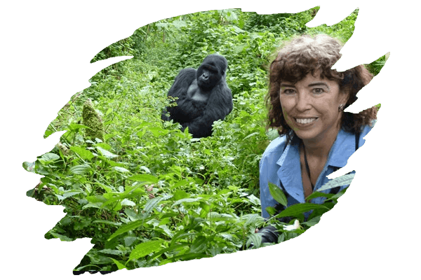 4days-uganda-gorilla