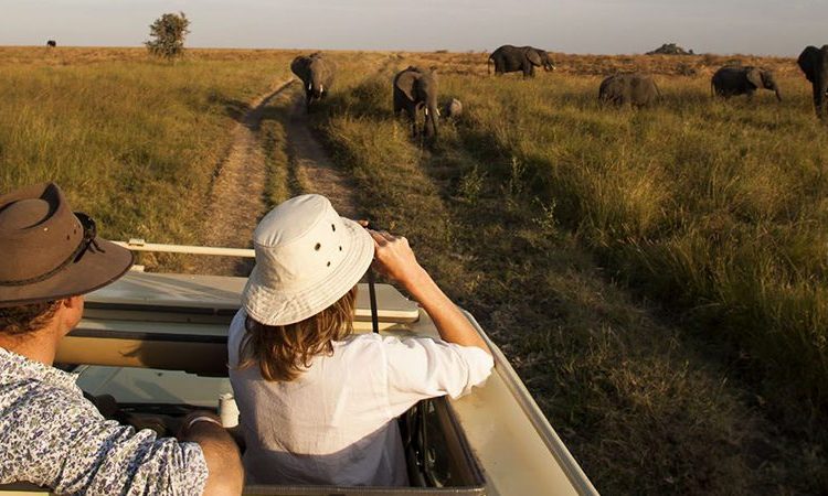 Best Time to Visit Uganda