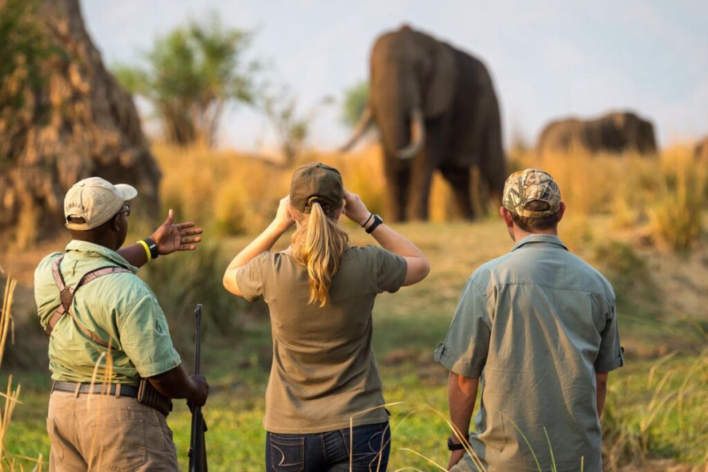 Uganda Safaris and Tours