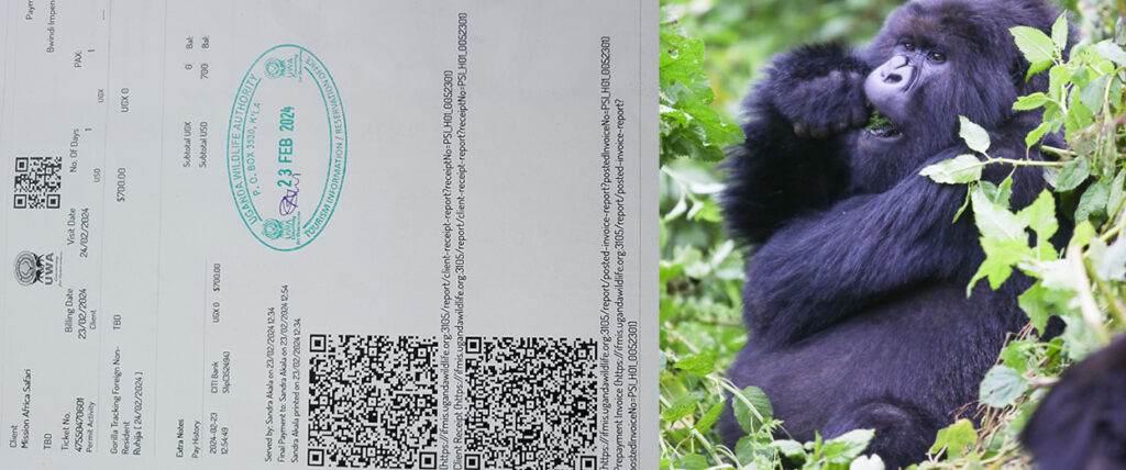 Gorilla Trekking Permits & Cost