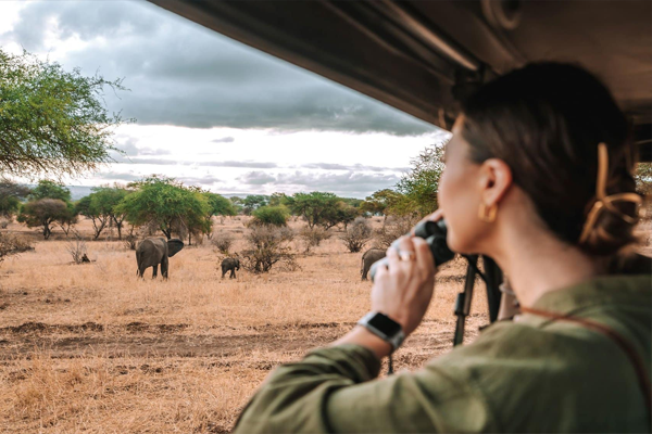 Uganda Safaris