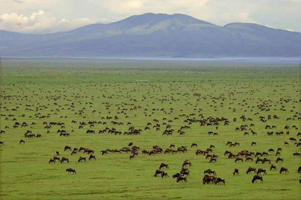 great-migration2